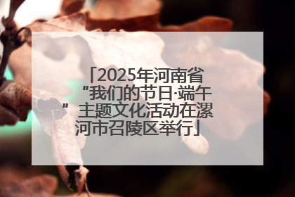 2025年河南省“我们的节日·端午”主题文化活动在漯河市召陵区举行