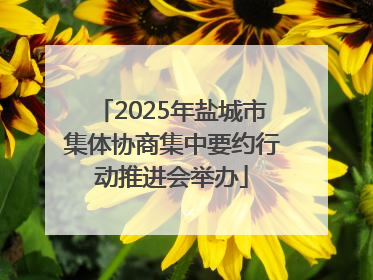 2025年盐城市集体协商集中要约行动推进会举办