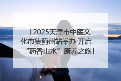 2025天津市中医文化市集蓟州站举办 开启“药香山水”康养之旅
