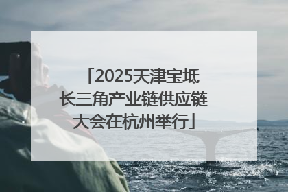 2025天津宝坻长三角产业链供应链大会在杭州举行