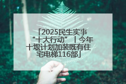 2025民生实事“十大行动”丨今年十堰计划加装既有住宅电梯116部