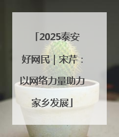2025泰安好网民｜宋芹：以网络力量助力家乡发展