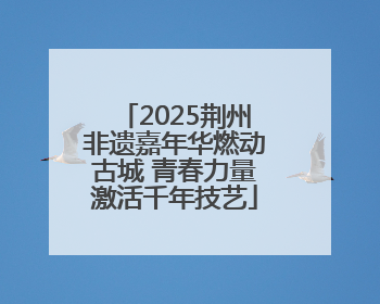 2025荆州非遗嘉年华燃动古城 青春力量激活千年技艺