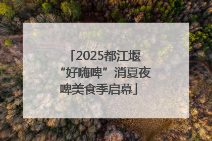 2025都江堰“好嗨啤”消夏夜啤美食季启幕