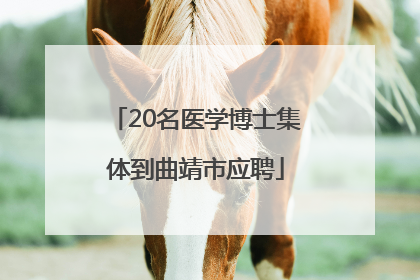 20名医学博士集体到曲靖市应聘