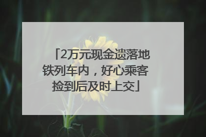 2万元现金遗落地铁列车内，好心乘客捡到后及时上交