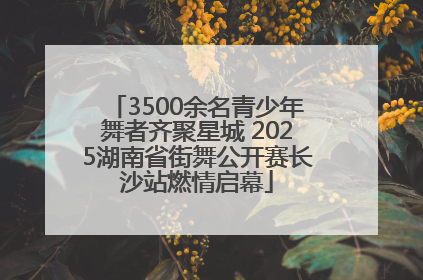 3500余名青少年舞者齐聚星城 2025湖南省街舞公开赛长沙站燃情启幕