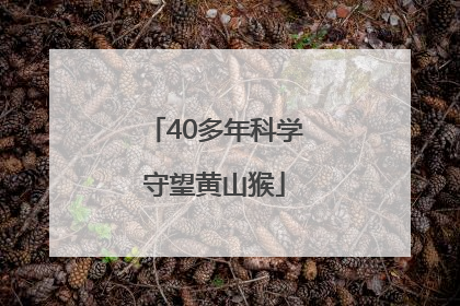40多年科学守望黄山猴