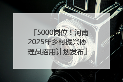 5000岗位！河南2025年乡村振兴协理员招用计划发布