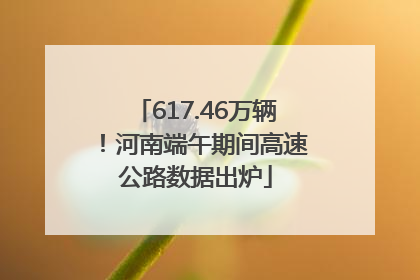 617.46万辆！河南端午期间高速公路数据出炉