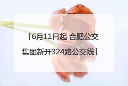 6月11日起 合肥公交集团新开324路公交线