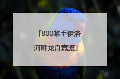 800桨手伊洛河畔龙舟竞渡