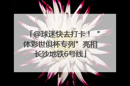 @球迷快去打卡！“体彩世俱杯专列”亮相长沙地铁6号线