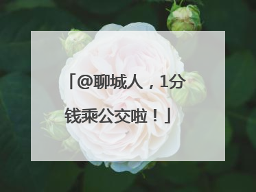 @聊城人，1分钱乘公交啦！