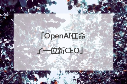 OpenAI任命了一位新CEO